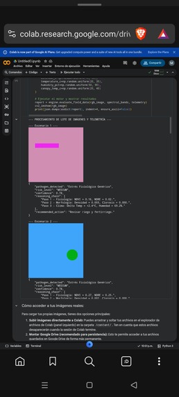 AgroDron – screenshot 4