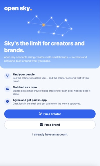 Open Sky  – screenshot 2