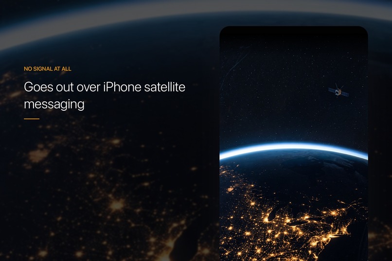 WildWire: AI by SMS – screenshot 1