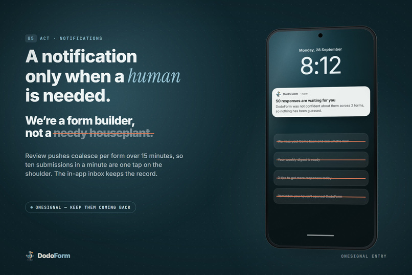 Dodoform – screenshot 3