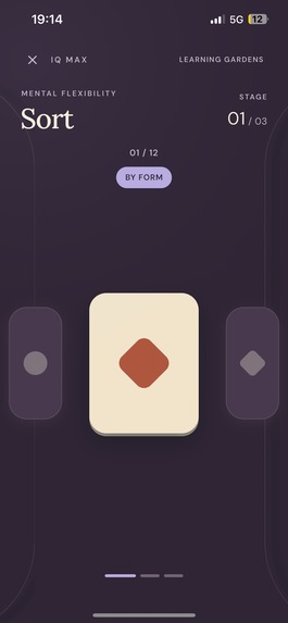IQ Max – screenshot 8