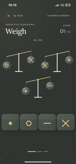 IQ Max – screenshot 9
