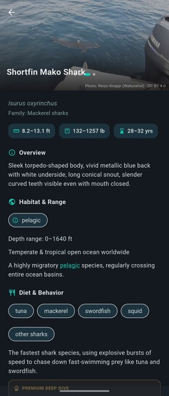 Tru Shark – screenshot 2