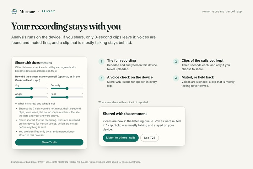 Murmur: a stethoscope for urban streams – screenshot 2