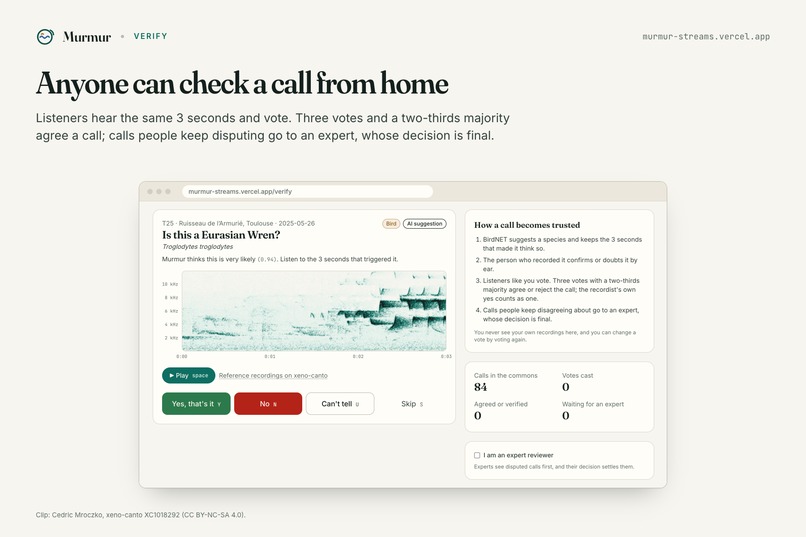 Murmur: a stethoscope for urban streams – screenshot 3