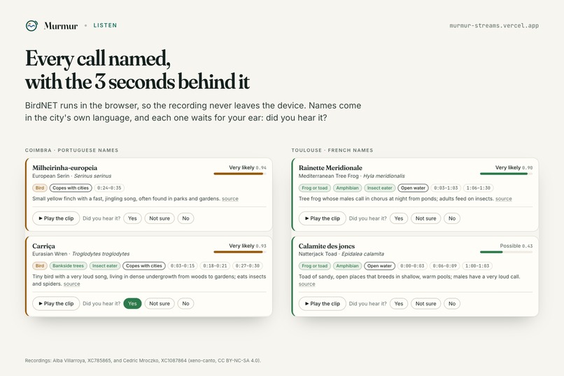 Murmur: a stethoscope for urban streams – screenshot 5