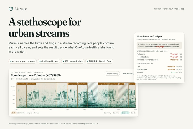 Murmur: a stethoscope for urban streams – screenshot 7