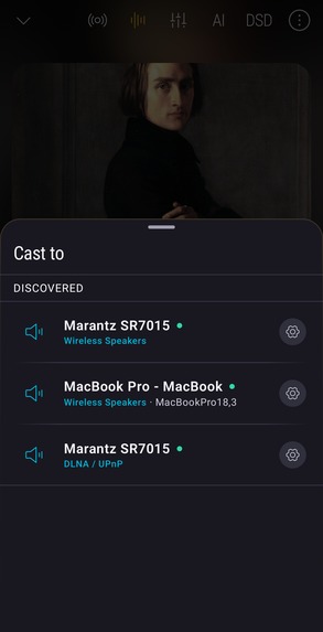 Bitperfect Player – screenshot 4