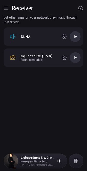 Bitperfect Player – screenshot 7
