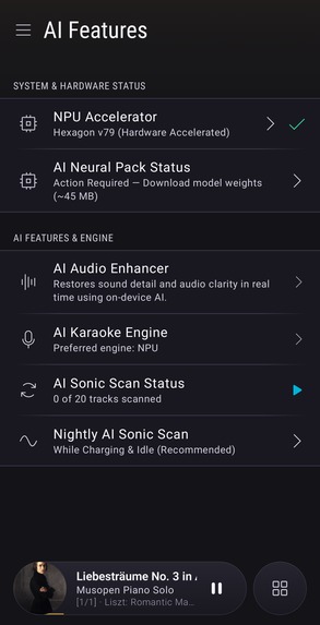 Bitperfect Player – screenshot 13