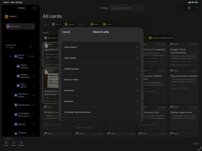Amber: Snippets, Images, Docs – screenshot 4