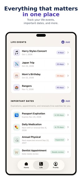 Evia – screenshot 4