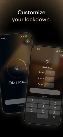 Isshin – screenshot 5