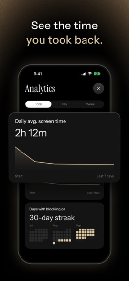 Isshin – screenshot 7