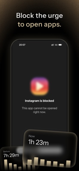 Isshin – screenshot 2