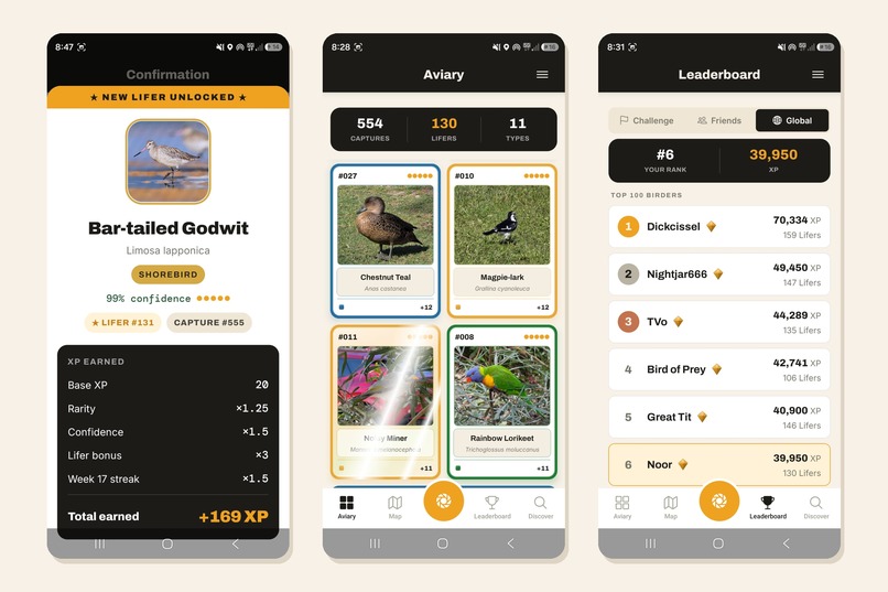 Lifer - The Birding Game – screenshot 1