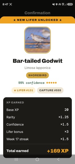 Lifer - The Birding Game – screenshot 2