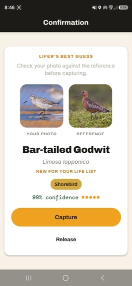 Lifer - The Birding Game – screenshot 3