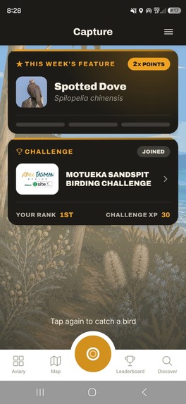 Lifer - The Birding Game – screenshot 4