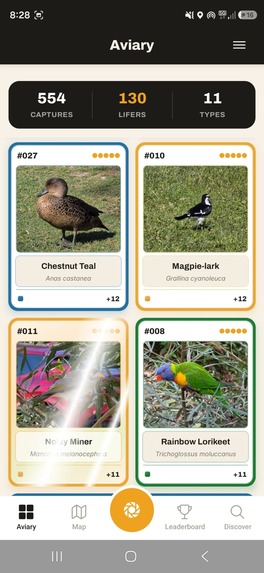 Lifer - The Birding Game – screenshot 5