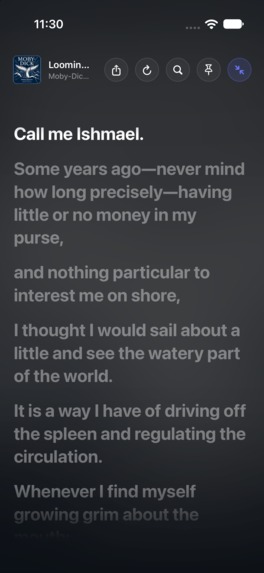 Yarnplayer – screenshot 2