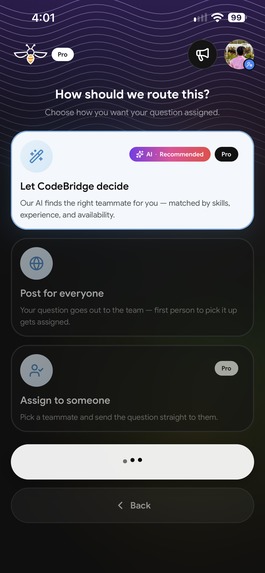 CodeBridge – screenshot 5