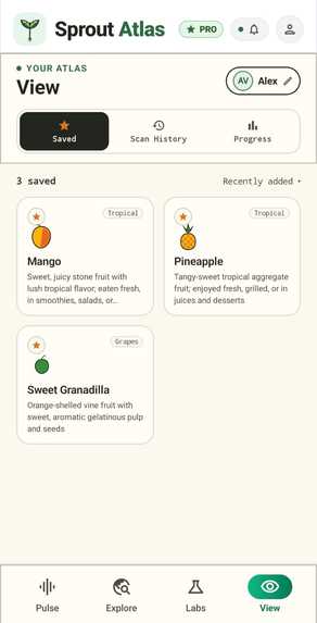 Sprout Atlas – screenshot 7