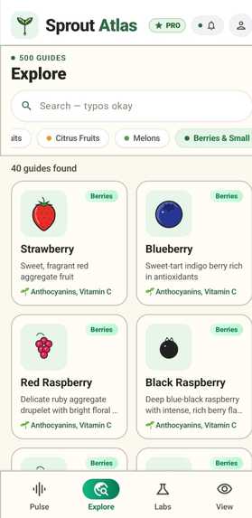 Sprout Atlas – screenshot 4