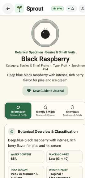 Sprout Atlas – screenshot 5