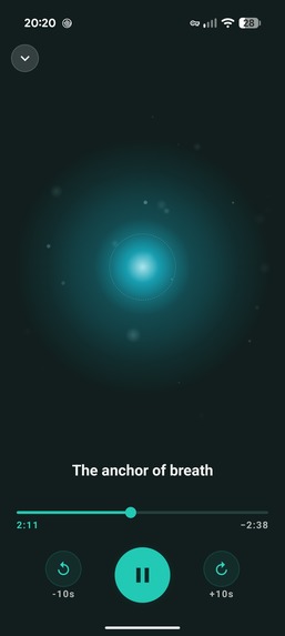 Orbora – screenshot 8