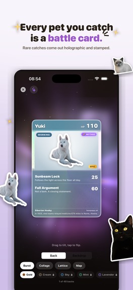 Boop: Catch Every Dog & Cat – screenshot 11
