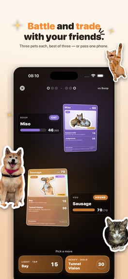 Boop: Catch Every Dog & Cat – screenshot 13