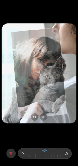 RefCat – Reference Camera – screenshot 5
