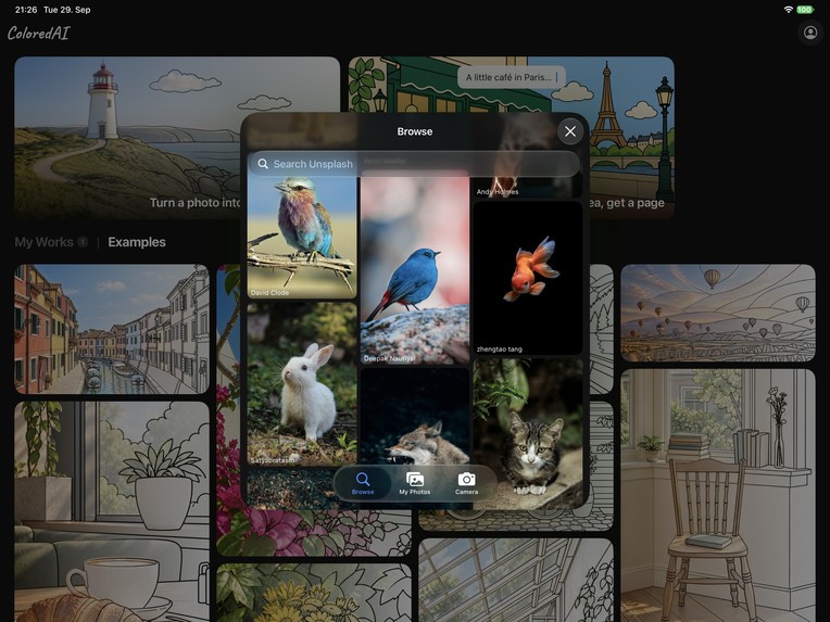 ColoredAI: Color your Photos – screenshot 5