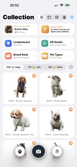 Boop: Catch Every Dog & Cat – screenshot 15