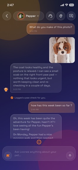 Loonee – screenshot 4