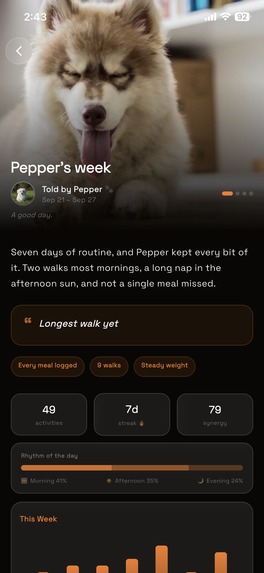 Loonee – screenshot 6