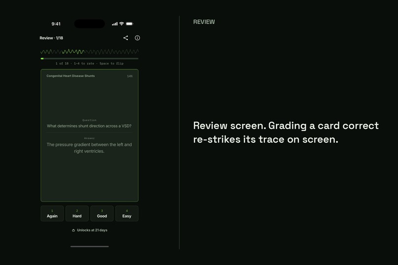 Phosphor: flashcards that fade like memory – screenshot 4