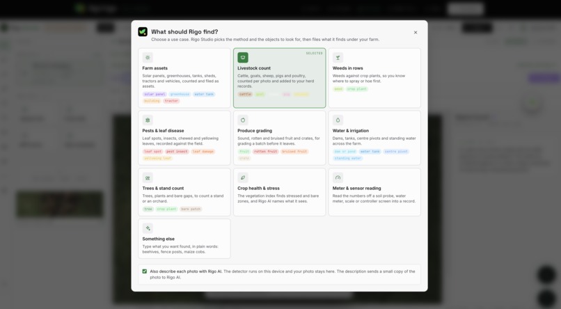 Rigo Studio  – screenshot 3