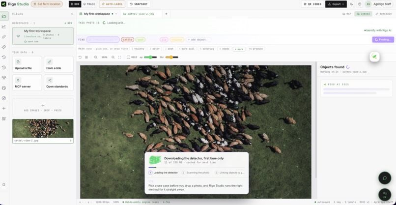 Rigo Studio  – screenshot 4
