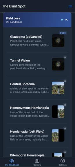 The Blind Spot – screenshot 2