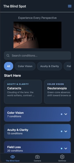 The Blind Spot – screenshot 1