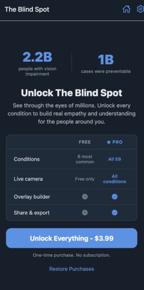 The Blind Spot – screenshot 3