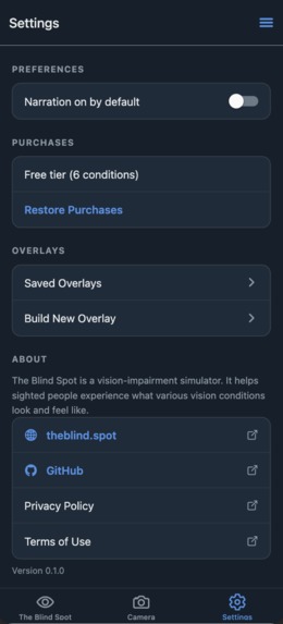 The Blind Spot – screenshot 4