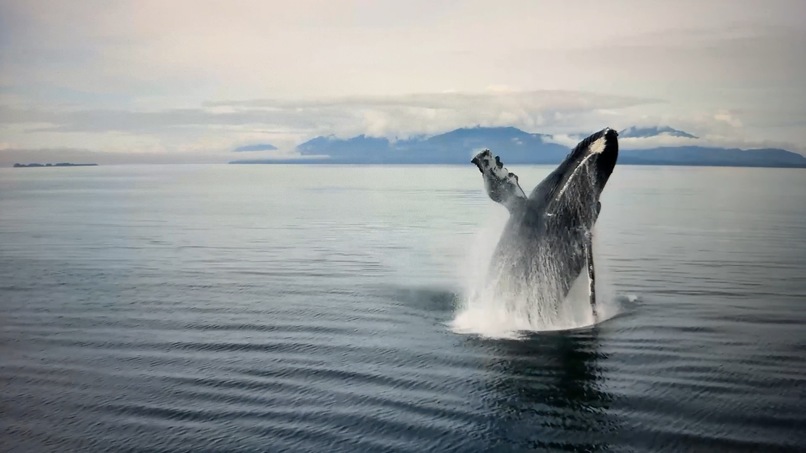 Deja2 Camera – screenshot 7
