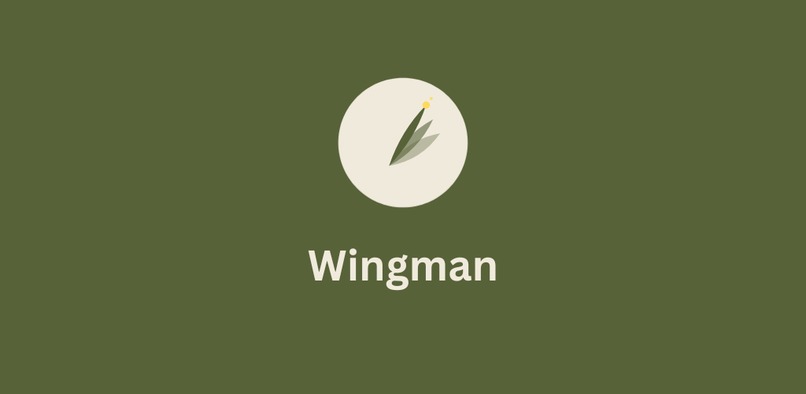 Wingman – screenshot 1