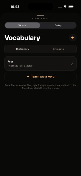 Voice to Text Keyboard: ARA – screenshot 1