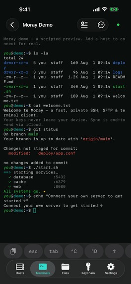 Moray – screenshot 8