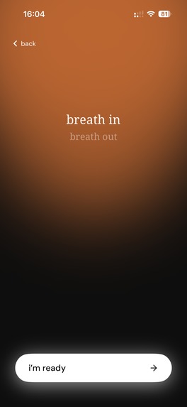 somequiet – screenshot 4