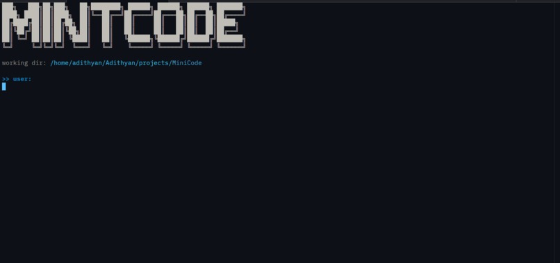MintCode – screenshot 2